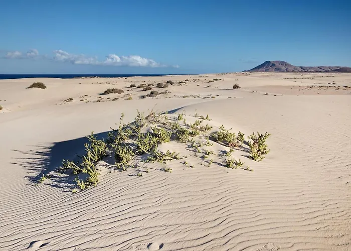 公寓 Fuentes 科拉雷侯