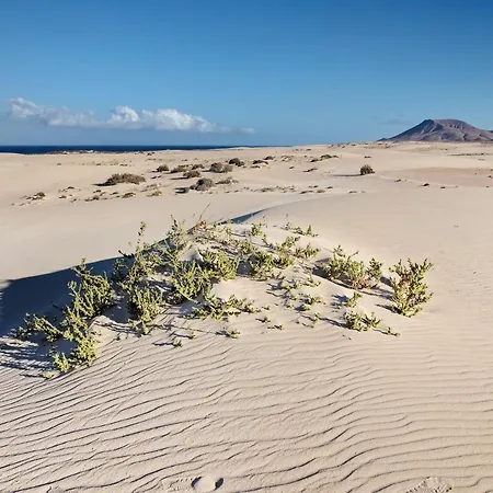Lejlighed Fuentes Corralejo